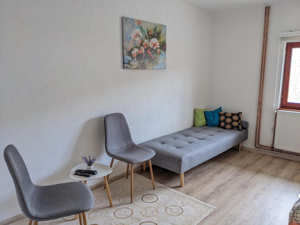 פוצ'ה Apartmani Drinska מראה חיצוני תמונה